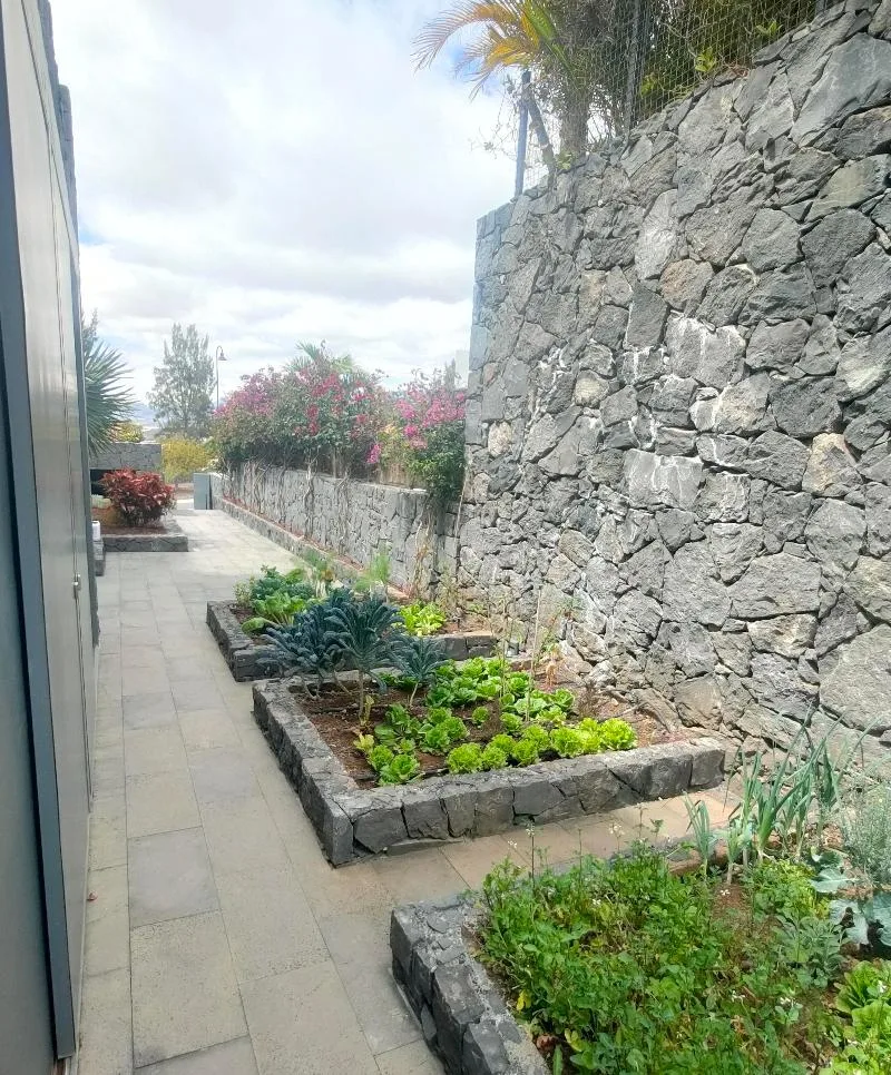 Trabajo de jardinería en Tenerife Sur – OMG Garden
