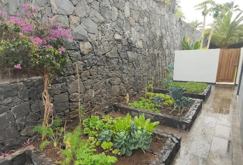 Proyecto de jardinería exterior en Tenerife Sur – OMG Garden